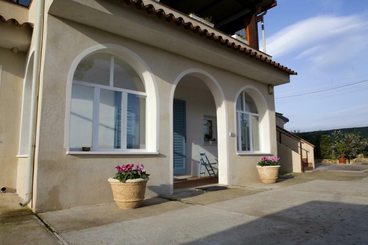 Avion B&B Elmas Экстерьер фото